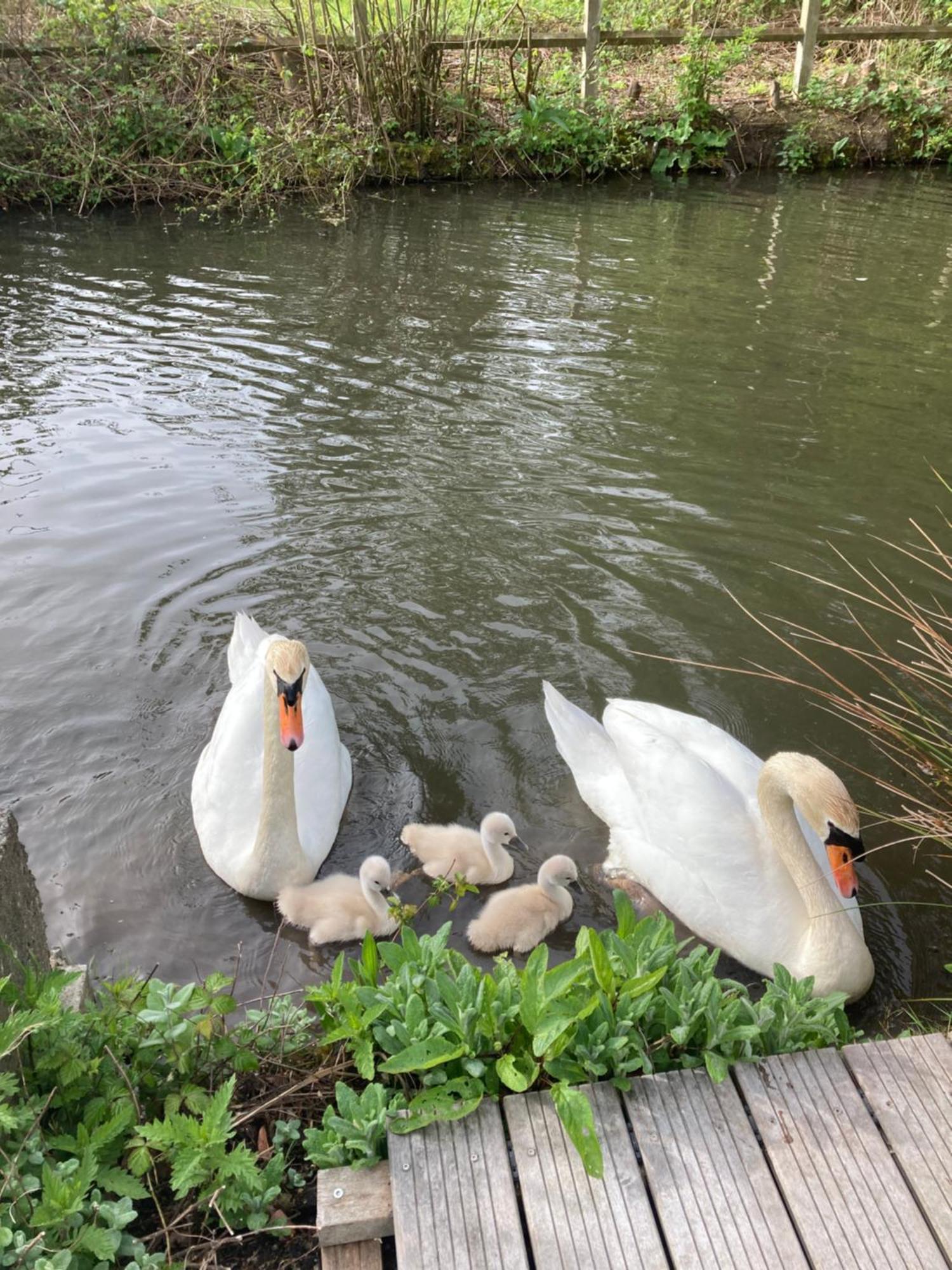 Apartmán Cote Riviere Ezy-sur-Eure Exteriér fotografie